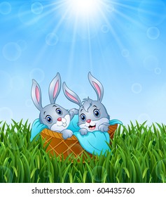 Vector illustration of Baby bunnies in a basket with a towel on the grass background