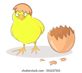 Vector illustration of a baby chick