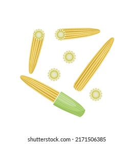Vector illustration, baby corn with chunks and slices, isolated on white background, perfect for packaging labels.