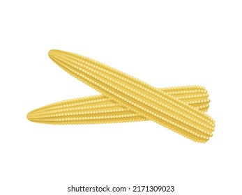 Vector illustration, baby corn isolated on white background, realistic style, suitable for packaging labels.