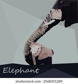 vector illustration of a baby elephant