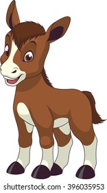 Vector illustration, baby funny foal, on a white background.