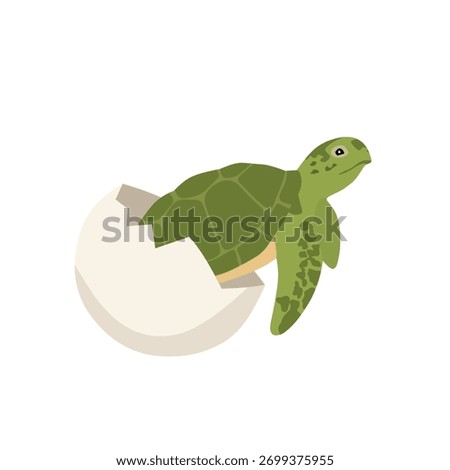 Vector illustration of a baby sea turtle hatching from an egg. Cute newborn turtle breaking the shell and emerging into the world. Perfect for wildlife education, marine biology, and conservation them