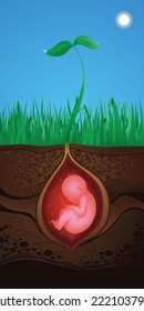 ilustración vectorial de un bebé en una semilla