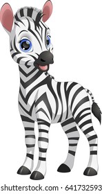 vector illustration of a baby zebra, on a white background