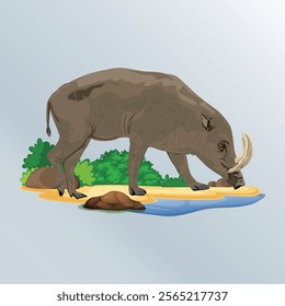 
vector illustration of Babyrousa, a typical animal from Sulawesi, Indonesia