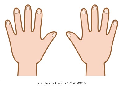 Vector Illustration Of Back Of Hand (both Hands)