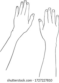 Vector Illustration Of Back Of Hand On White Background.