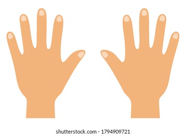 Vector illustration of the back of hand (without main line)