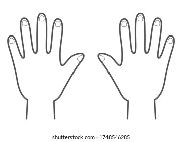 Vector illustration of the back of hands. right and left hand.