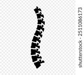 Vector illustration of backbone on transparent background