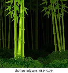 Vector illustration of Background bamboo forest at night