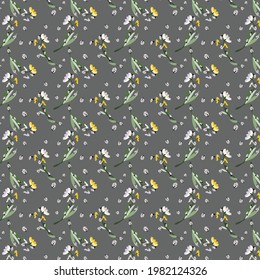 Vector illustration background beautiful image insects ladybugs