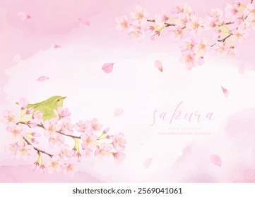 Vector illustration background of cherry blossoms in full bloom