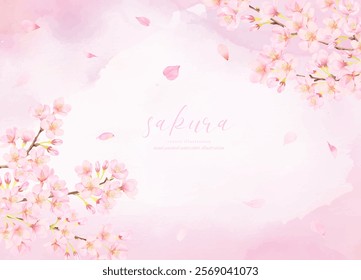 Vector illustration background of cherry blossoms in full bloom