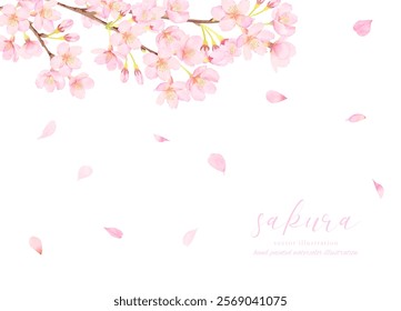 Vector illustration background of cherry blossoms in full bloom