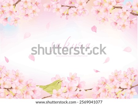 Vector illustration background of cherry blossoms in full bloom
