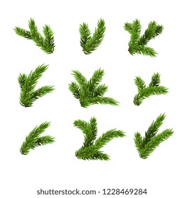 Vector illustration of Background with Christmas tree branches