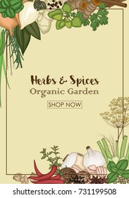 Vector illustration of Background design with herbs and spices
