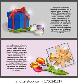 vector illustration, background for different design, greetings, banner, greeting card with the image of tulips flowers and gift