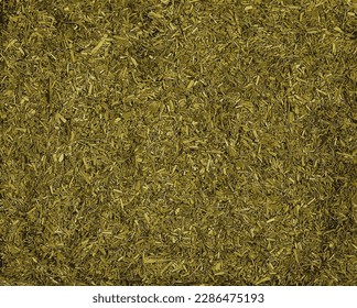 Vector illustration of background of dry knotweed herb used in herbal medicine. The concept of herbal treatment. Bian Xu. The active substance is Polygoni avicularis herba
