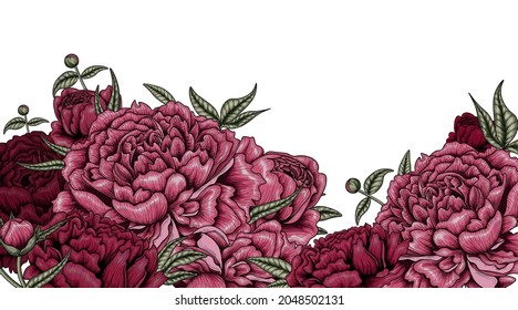 Ilustración vectorial jardín de fondo flores rosadas y púrpura y hojas de peonías