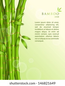 Vector illustration of Background with green bamboo
