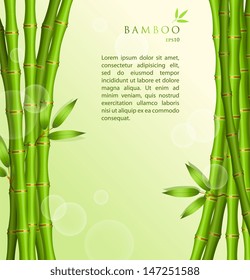 Vector illustration of Background with green bamboo