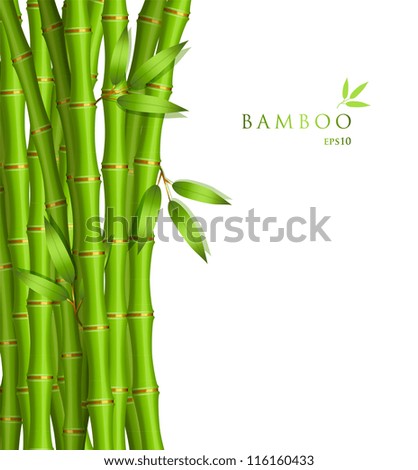 Vector illustration of Background with green bamboo
