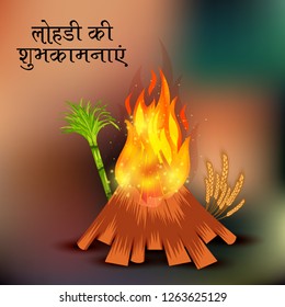Vector illustration of a Background for Happy Lohri holiday Template for Punjabi Festival with Hindi Text.