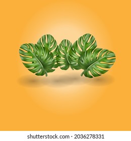 vector illustration background image with monstera leaf background