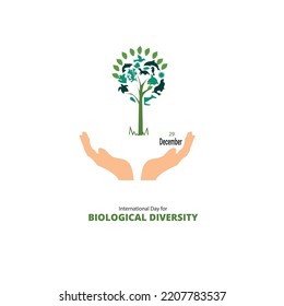 Ilustración vectorial de un Antecedentes del Día Internacional de la Diversidad Biológica.