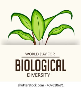 Vector illustration of a background for International Day for Biological Diversity.