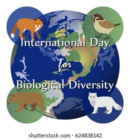 Vector illustration of a background for International Day for Biological Diversity
