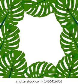 Vector illustration. Background with leaves of tropical monser with space for text