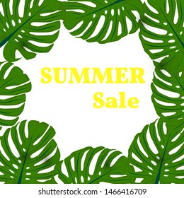 Vector illustration. Background with leaves of tropical monser with space for text. Summer sale