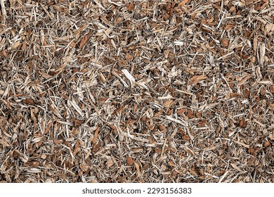 Vector illustration of Background made of dried brown oak bark for medical use. Oak bark backdrop. Quercus cortex - herb.
