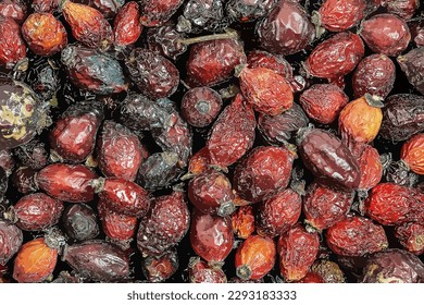 Vector illustration of Background made of Dry rose hips. Fharmaceutical raw materials. Healing herbs Rosae fructus. Dried medicinal herbs raw materials. 
