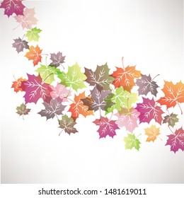 vector illustration background of maple