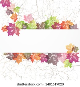 vector illustration background of maple