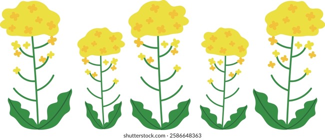 Vector illustration background material of many rape blossoms