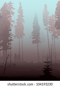 Vector illustration background of mist in coniferous forest in morning.