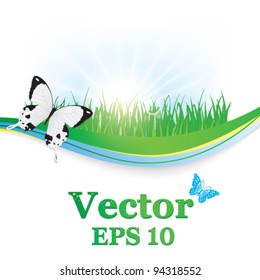 Vector illustration of a background on the nature