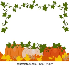 Vector illustration of a background of orange and white pumpkins sitting on autumn leaves. Pumpkins are different sizes on white background. 