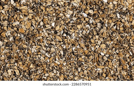Vector illustration of background of organic dry calamus root. The Latin name is Acorus calamus. Close-up of background texture. Top view. The concept of herbal treatment.
