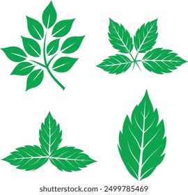 Vector and Illustration A background pattern consisting of some leaves and trees