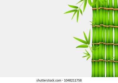 Vector Illustration of Background with realistic Bamboo