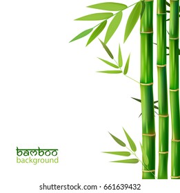 Vector Illustration of Background with realistic Bamboo 