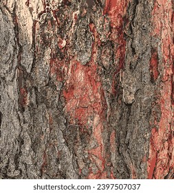 Vector illustration of the background and texture of the bark of the purple plant or Cercis canadensis in Latin.

