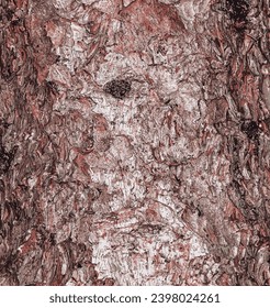 Vector illustration of Background and texture of the bark of Blue Spruce or Picea pungens in Latin.